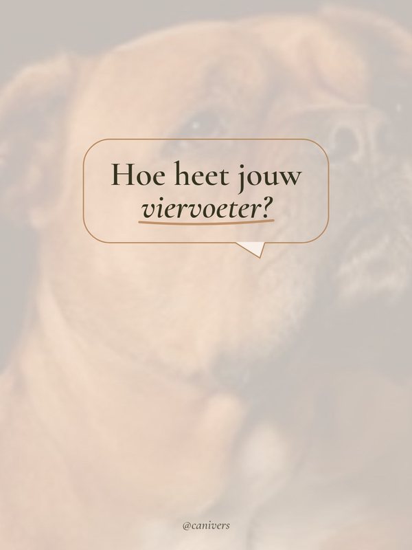Vraag aan je volgers voor Canivers